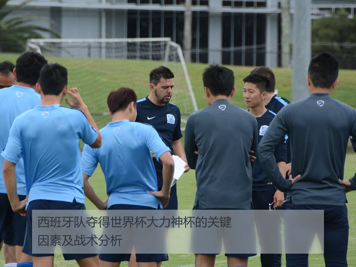 西班牙队夺得世界杯大力神杯的关键因素及战术分析