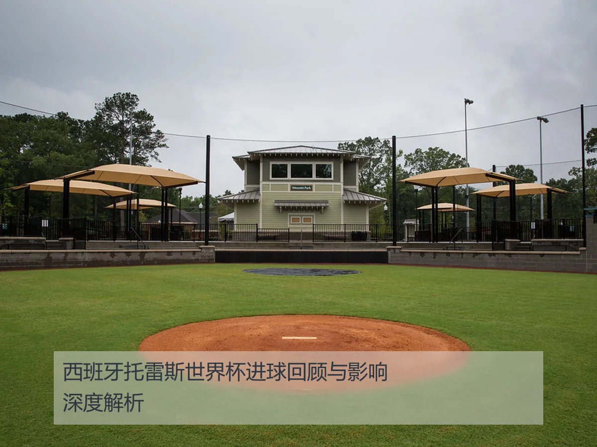 西班牙托雷斯世界杯进球回顾与影响深度解析
